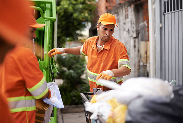 Yard Cleanup Services in Tripoli, IA